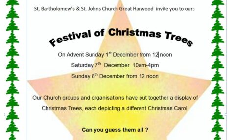 Festival of Christmas Trees